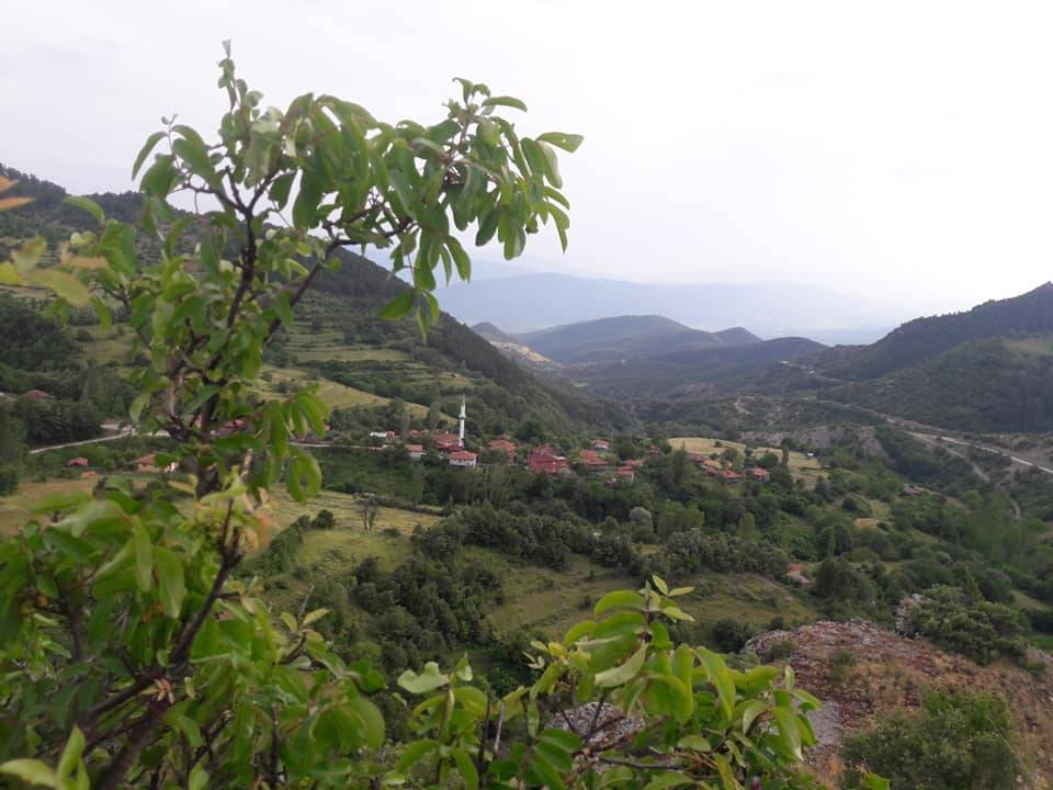 Durağan Boyalıca Köyü Resimleri 6