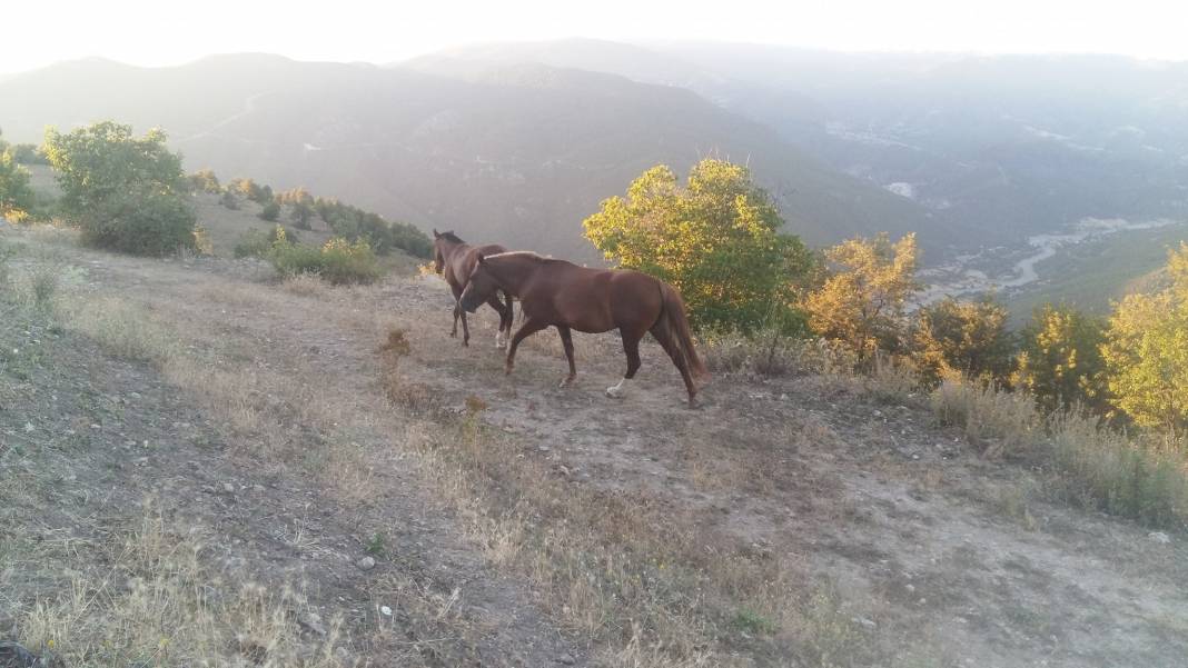 Durağan Cevizlibağ Köyü Resimleri 10
