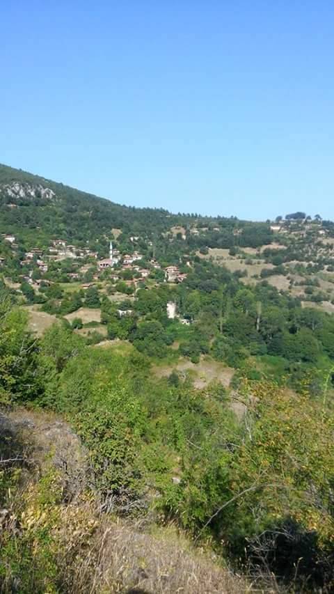 Durağan Cevizlibağ Köyü Resimleri 2