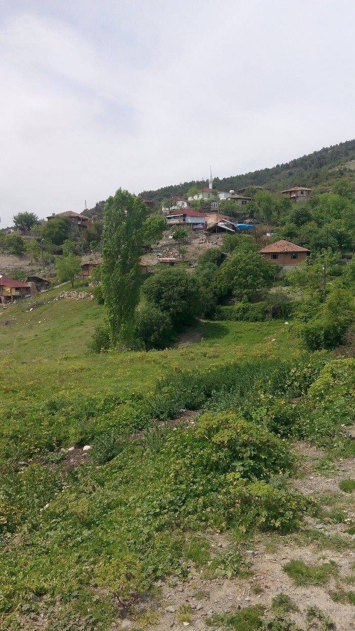 Durağan Çaltucak Köyü Resimleri 4