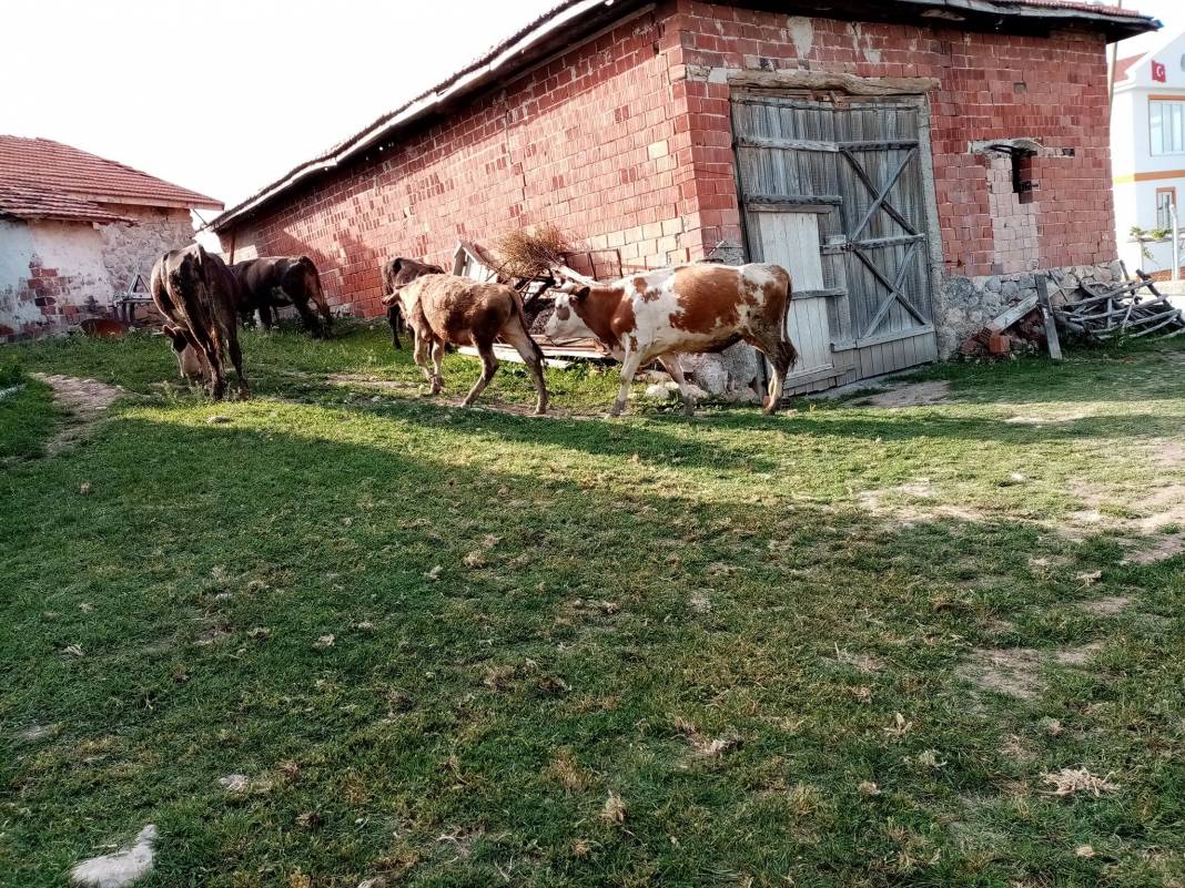 Çorum Hacıahmetderesi Köyü Resimleri 5