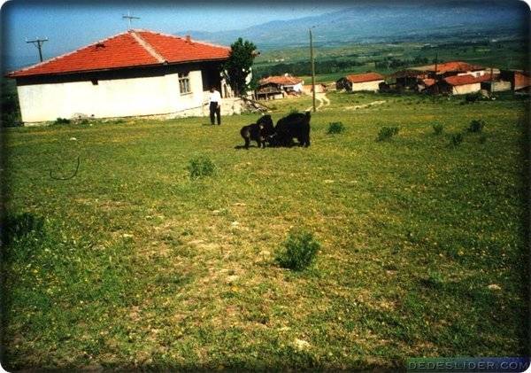 Çorum Hacıbey Köyü Resimleri 4
