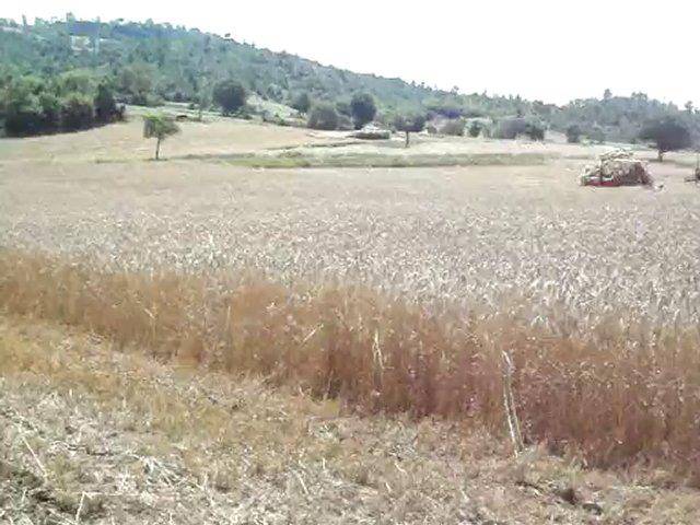 Durağan Çampaşasakızı Köyü Resimleri 1