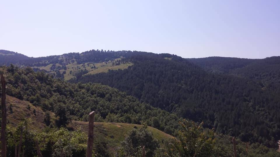 Durağan Çöve Köyü Resimleri 2