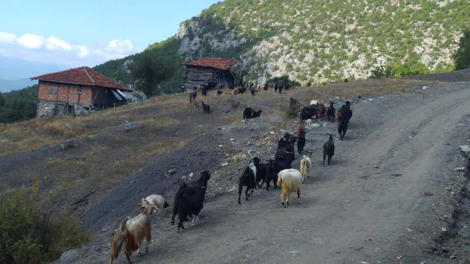 Durağan Çöve Köyü Resimleri 7