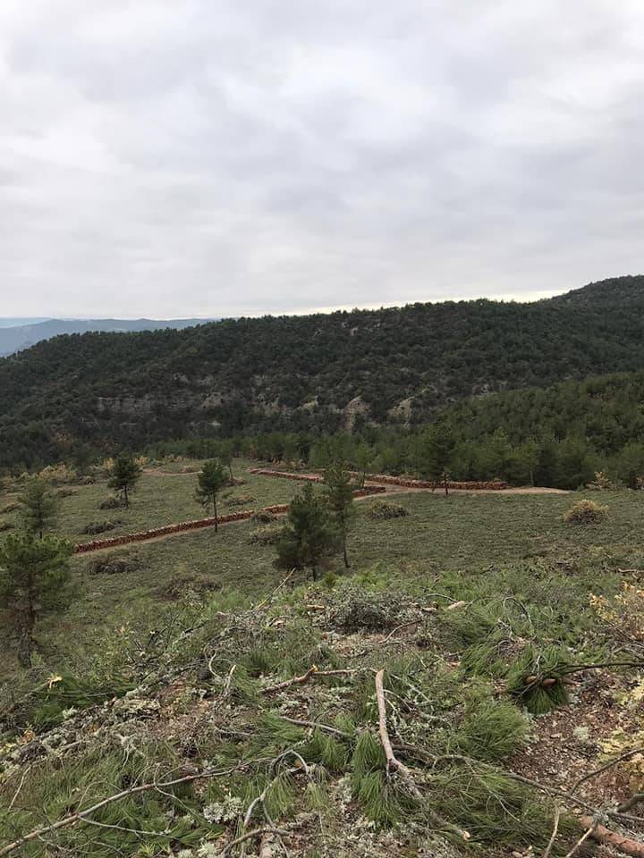 Durağan Dağdelen Köyü Resimleri 3