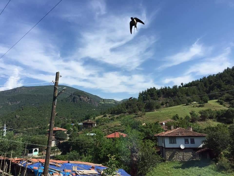 Durağan Dağdelen Köyü Resimleri 6