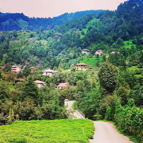 Fındıklı Arılı Köyü Resimleri 1