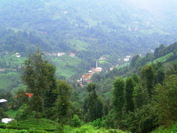 Fındıklı Arılı Köyü Resimleri 11