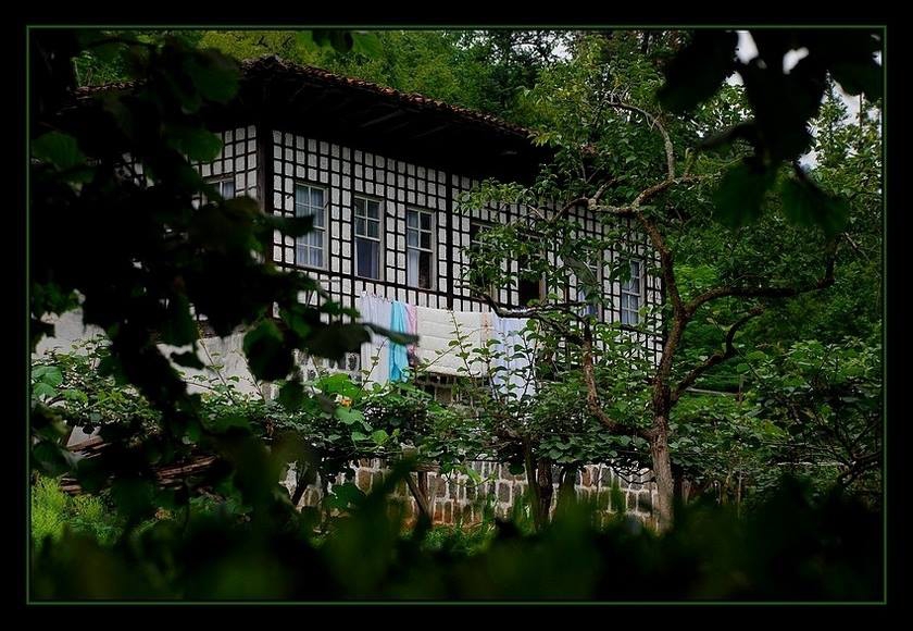 Fındıklı Arılı Köyü Resimleri 12