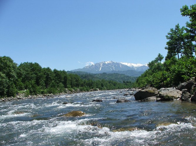 Fındıklı Arılı Köyü Resimleri 15