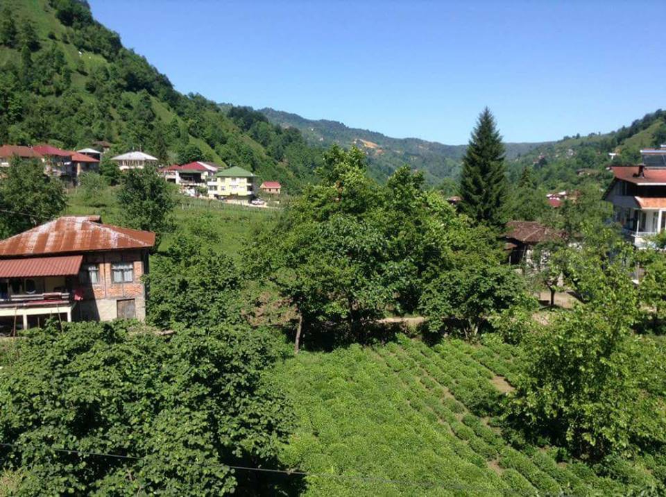 Fındıklı Arılı Köyü Resimleri 17