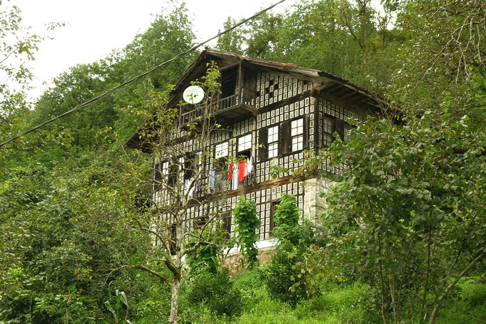 Fındıklı Arılı Köyü Resimleri 18