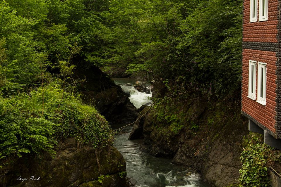 Fındıklı Arılı Köyü Resimleri 19