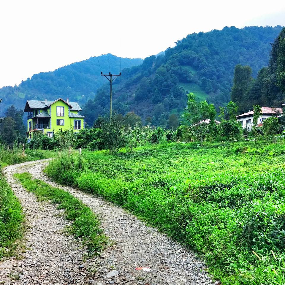 Fındıklı Arılı Köyü Resimleri 21