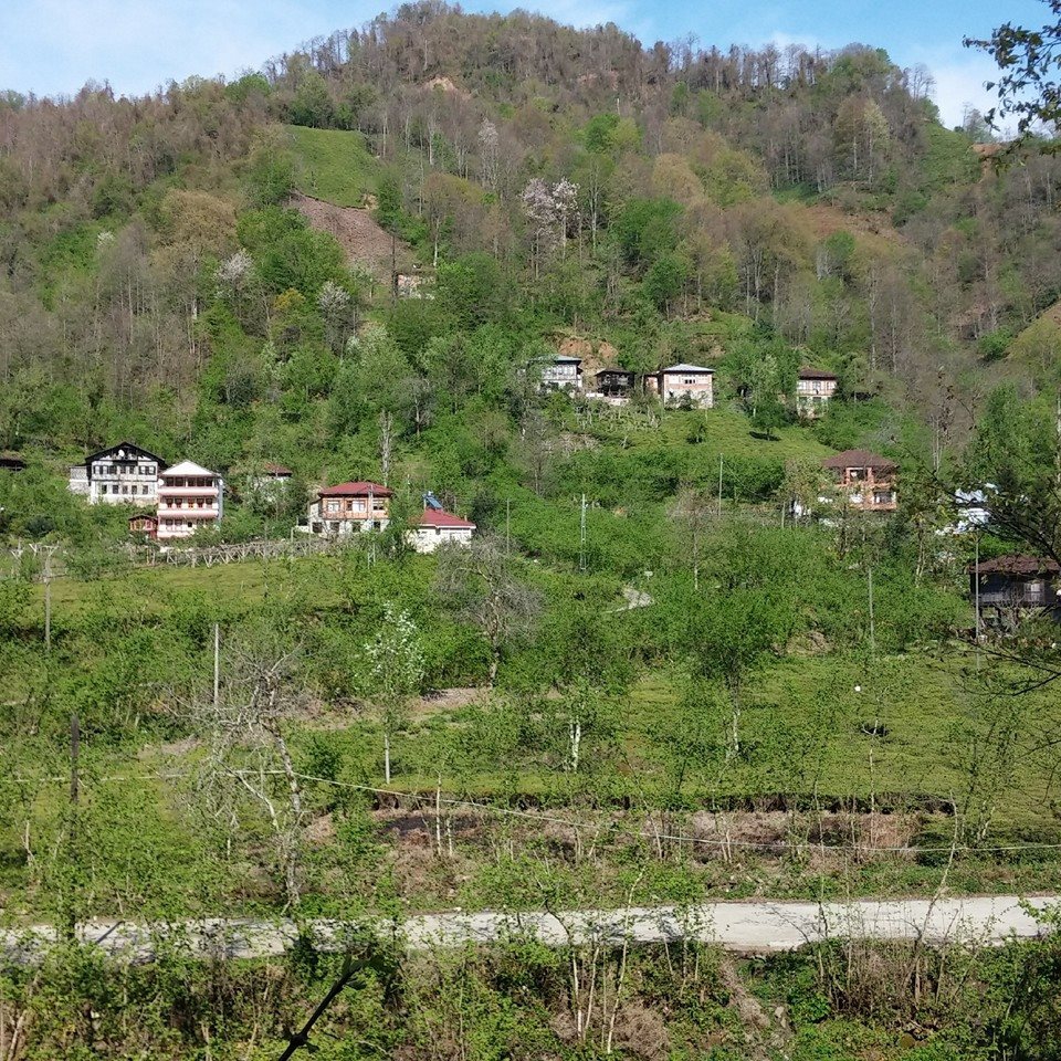 Fındıklı Arılı Köyü Resimleri 23