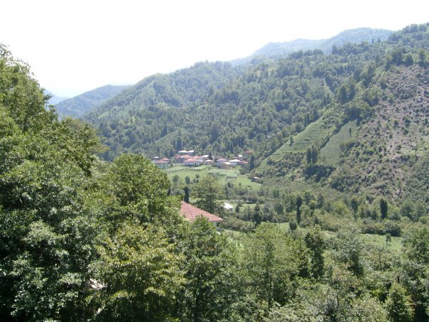 Fındıklı Arılı Köyü Resimleri 5