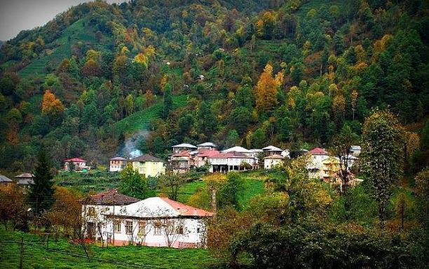 Fındıklı Arılı Köyü Resimleri 9