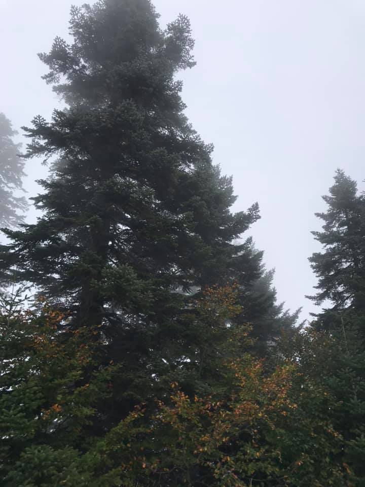 Durağan Gölalan Köyü Resimleri 4