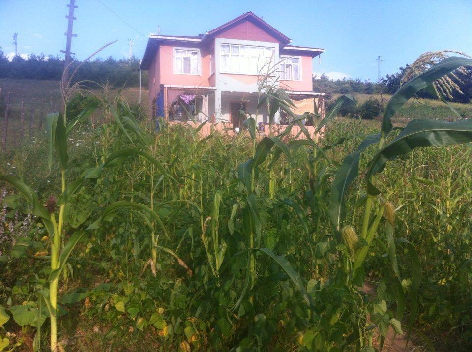 Durağan Güngören Köyü Resimleri 3