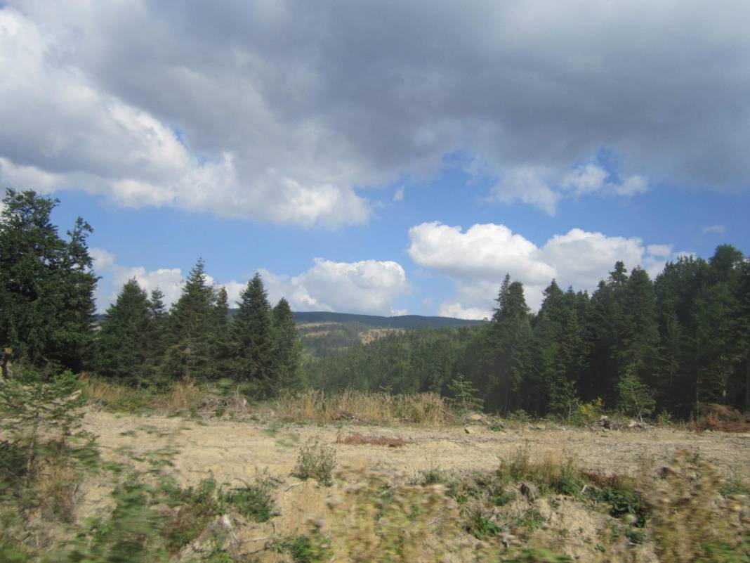 Durağan Gürpınar Köyü Resimleri 2