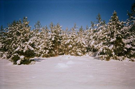 Durağan Hacımahmutlu Köyü Resimleri 1