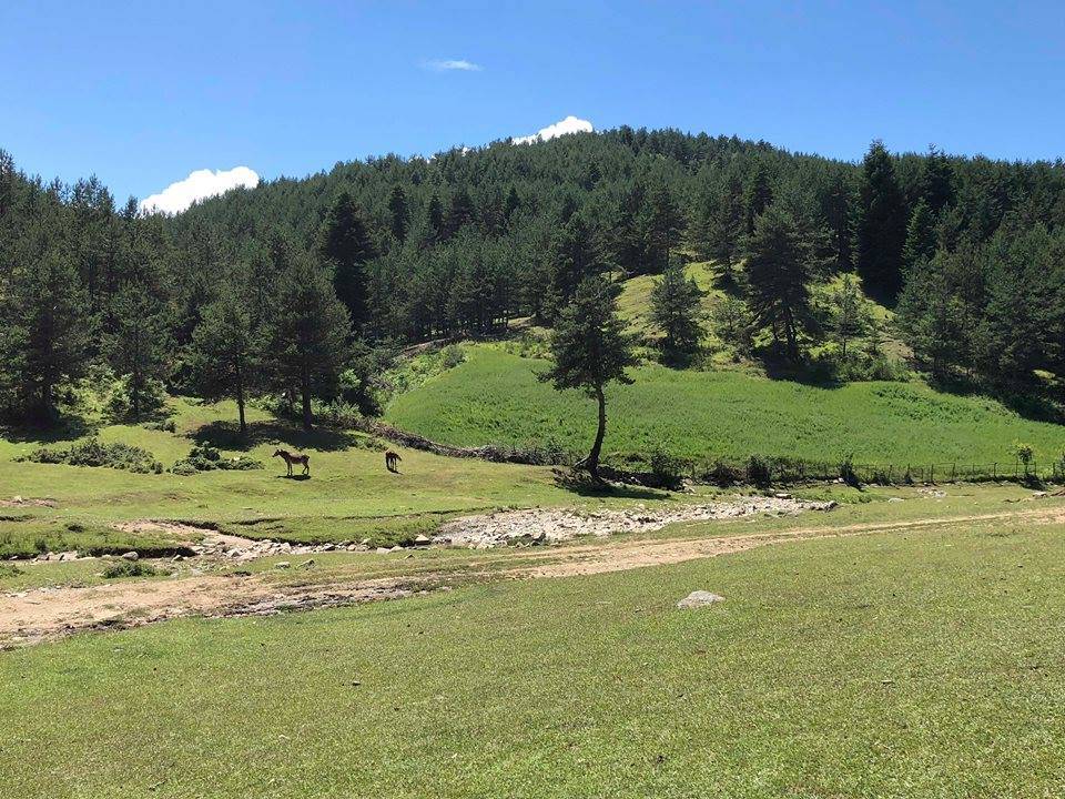 Durağan Hacımahmutlu Köyü Resimleri 7