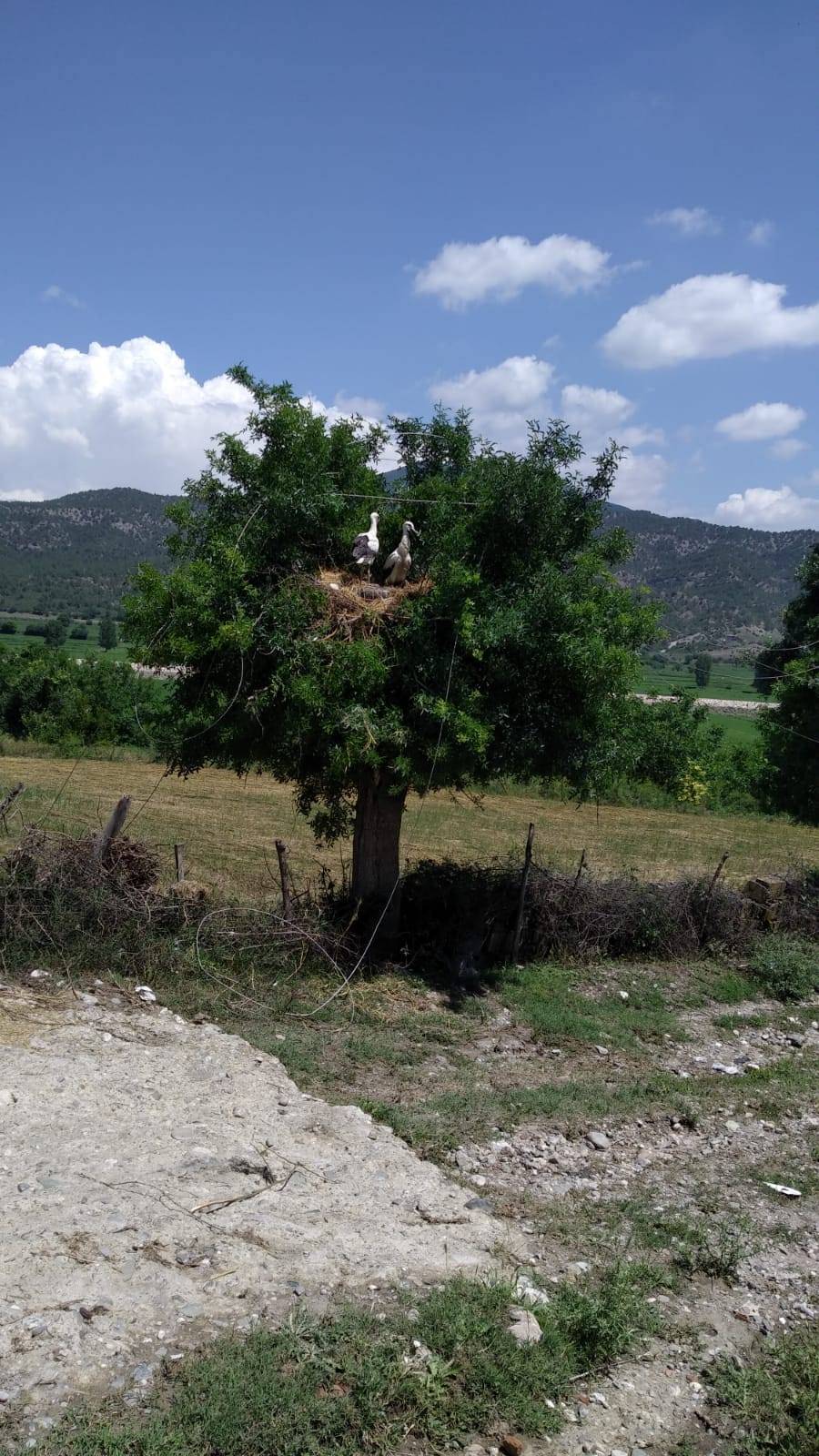 Durağan Hacıoğlan Köyü Resimleri 5