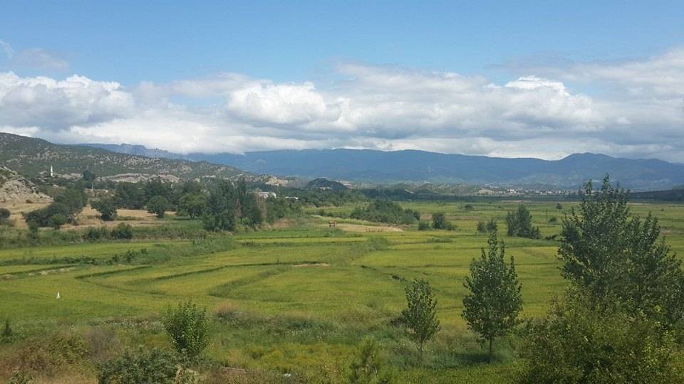 Durağan İncir Köyü Resimleri 4