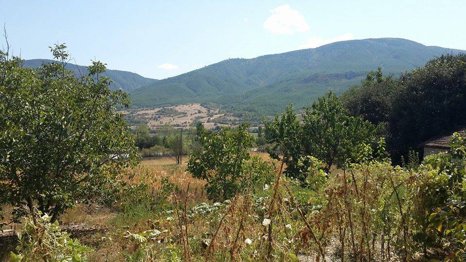 Durağan İncir Köyü Resimleri 7