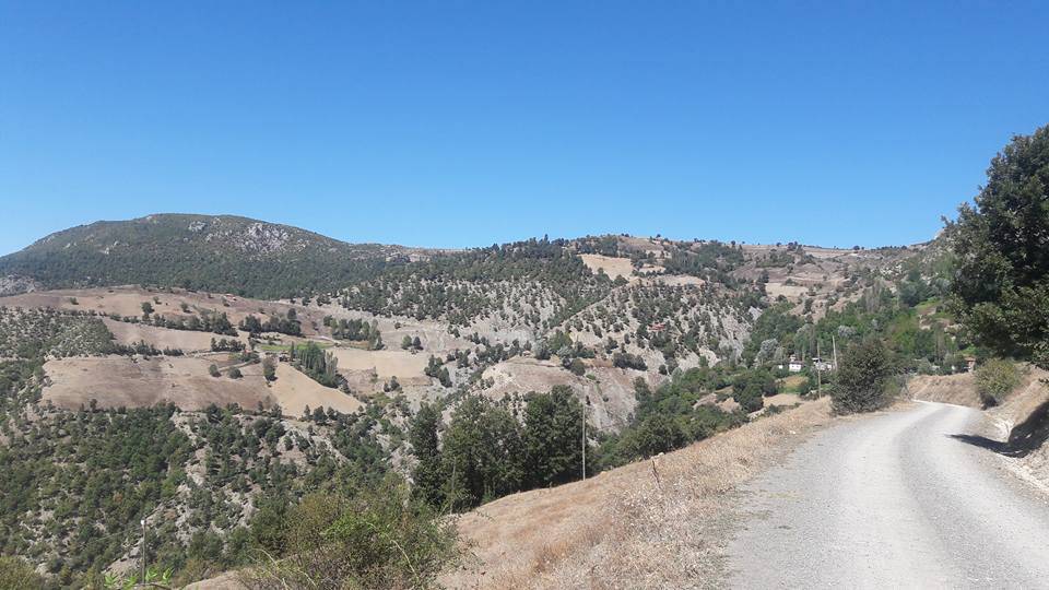 Durağan Karagüney Köyü Resimleri 2