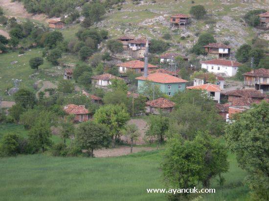 Durağan Kavaklı Köyü Resimleri 1