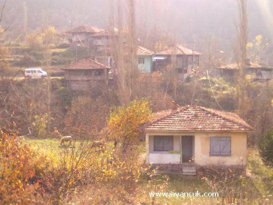 Durağan Kızılcapelit Köyü Resimleri 1