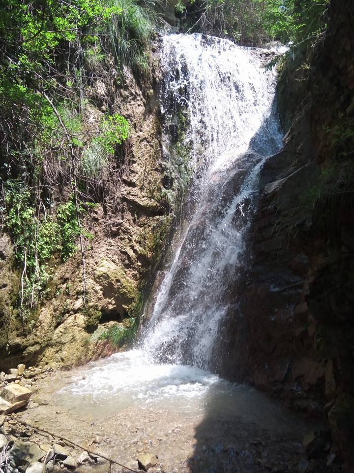 Durağan Kızılcapelit Köyü Resimleri 4