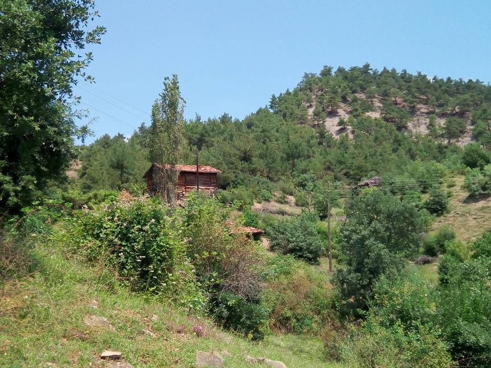 Durağan Kızılcapelit Köyü Resimleri 5