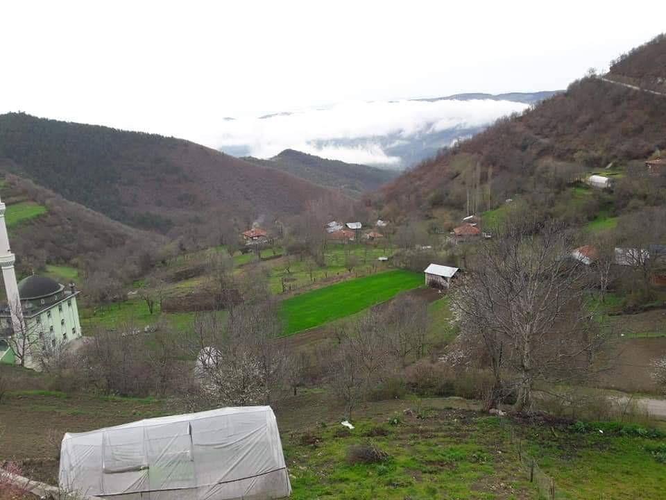 Durağan Kirencik Köyü Resimleri 5