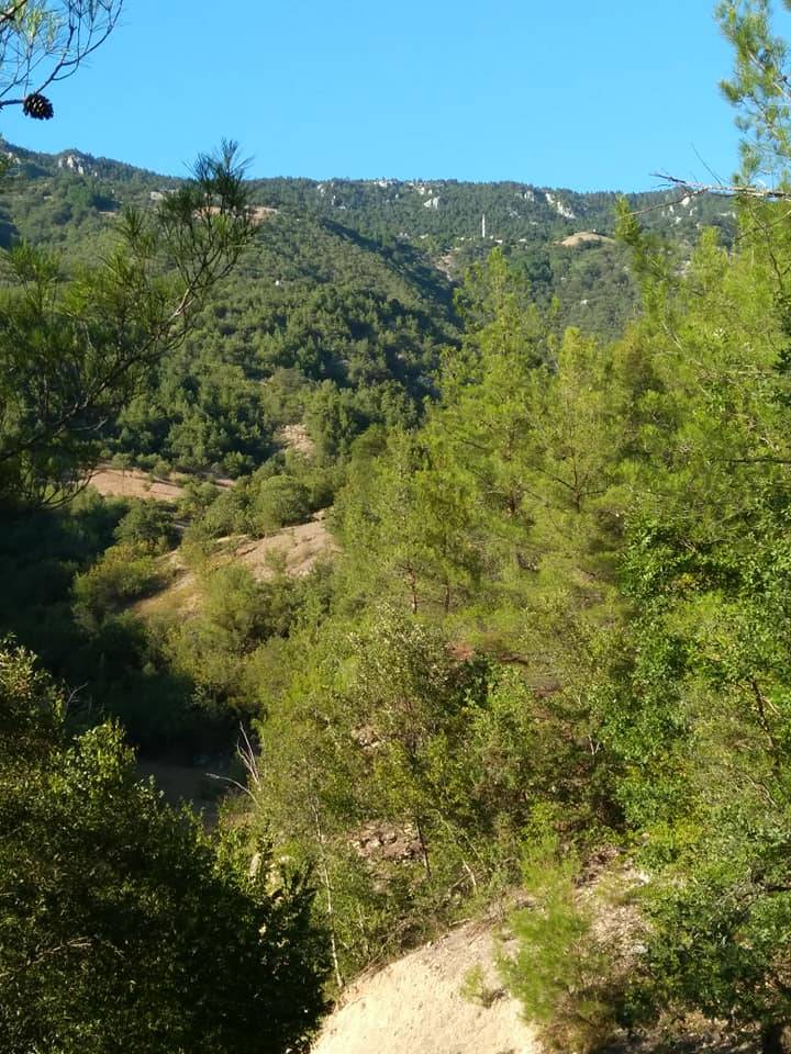 Durağan Köklen Köyü Resimleri 13