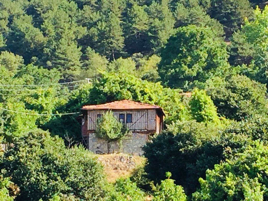 Durağan Köklen Köyü Resimleri 2