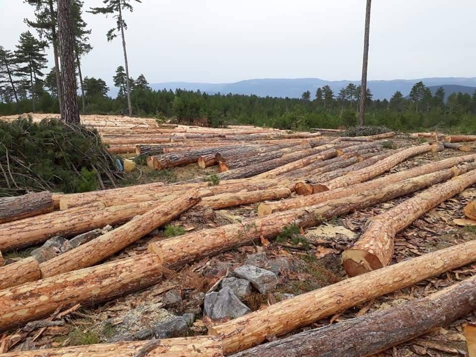 Durağan Köklen Köyü Resimleri 6
