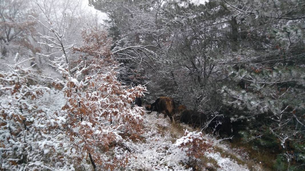 Durağan Köseli Köyü Resimleri 5