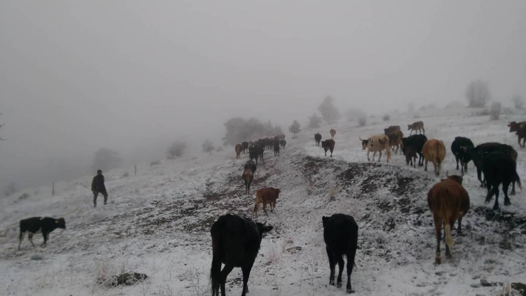 Durağan Köseli Köyü Resimleri 6