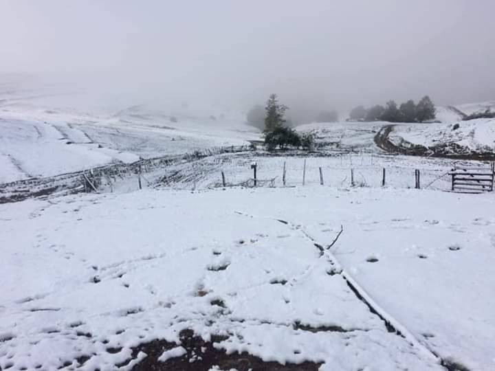 Durağan Köseli Köyü Resimleri 7