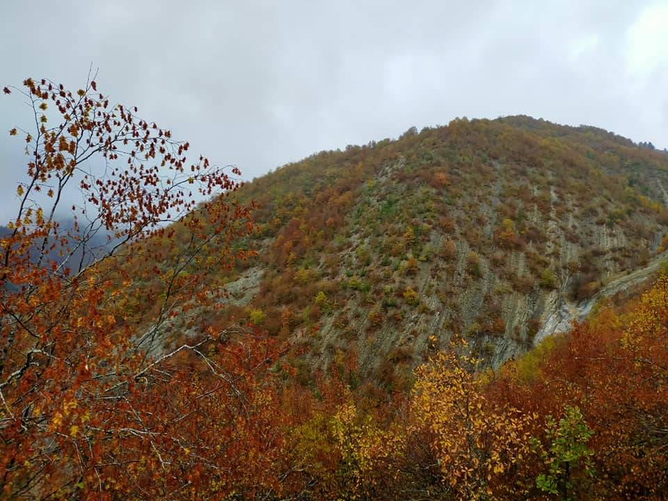 Durağan Kuzuluk Köyü Resimleri 10