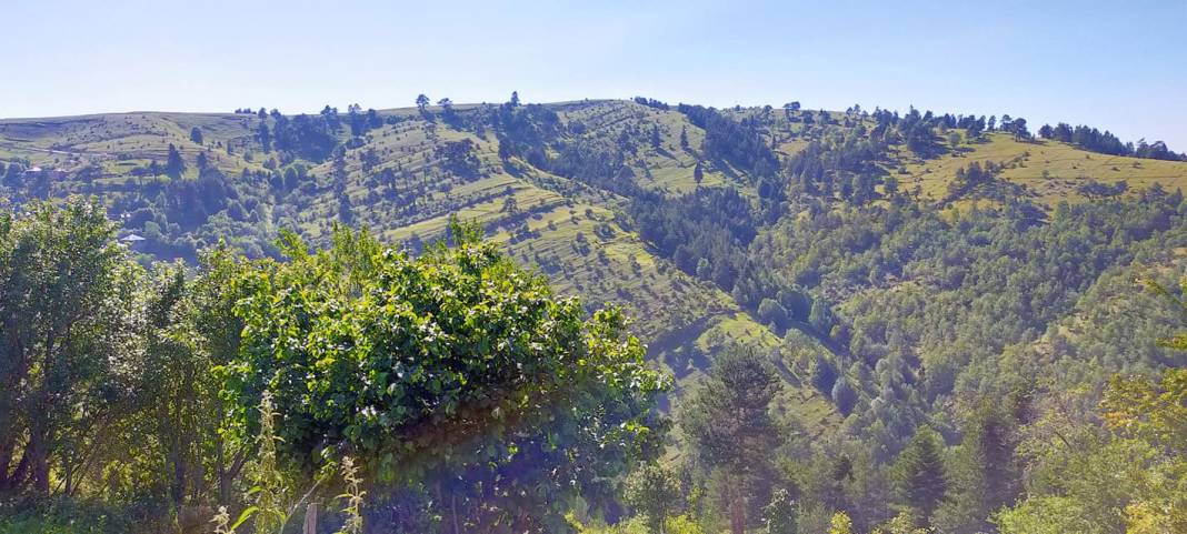 Durağan Kuzuluk Köyü Resimleri 6