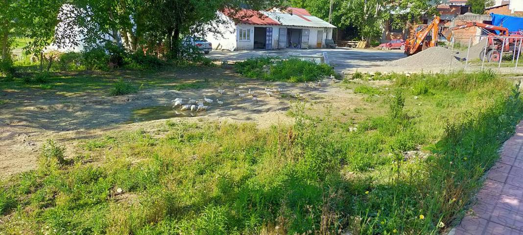 Durağan Kuzuluk Köyü Resimleri 7