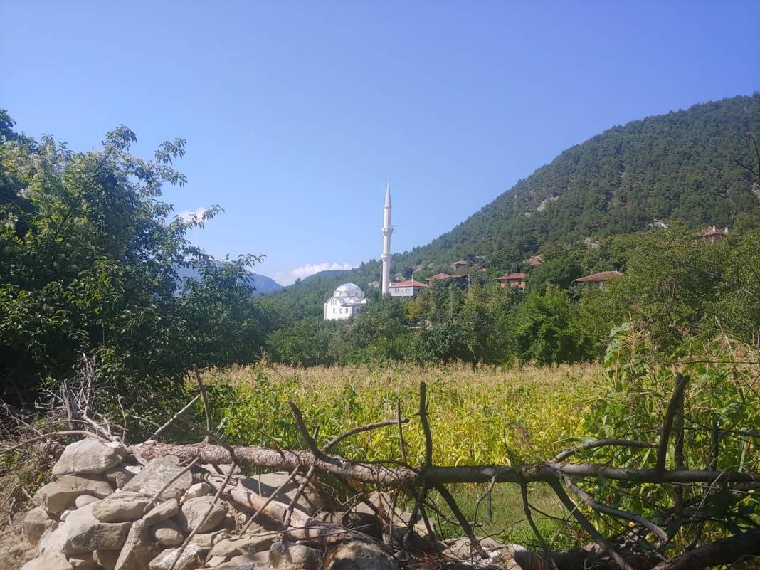 Durağan Olucak Köyü Resimleri 5