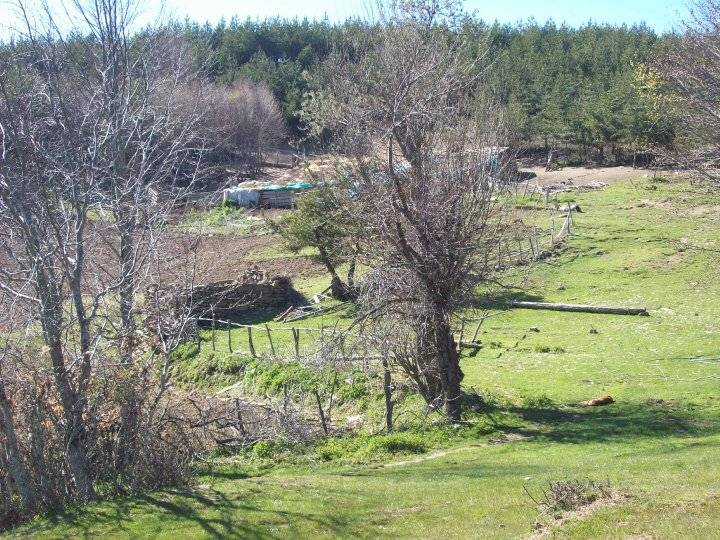 Durağan Ortaköy Köyü Resimleri 1