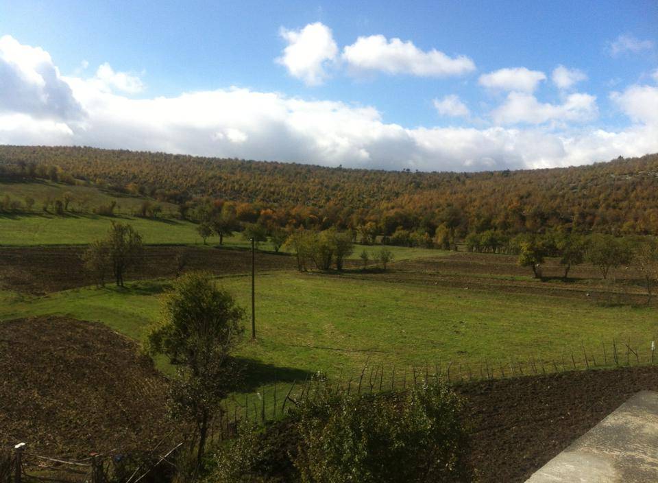 Durağan Salarkolu Köyü Resimleri 1