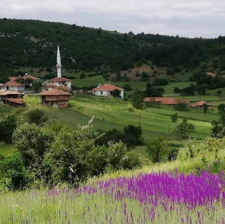 Durağan Salarkolu Köyü Resimleri 7