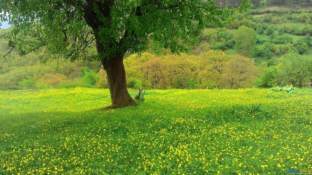 Durağan Sarıkadı Köyü Resimleri 4